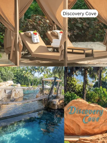Things To Do In Orlando – Relax and swim with dolphins at Discovery Cove, a tropical day resort in Orlando.