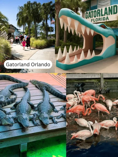 Things To Do In Orlando – Visit Gatorland Orlando for alligator encounters, wildlife shows, and Florida-themed fun.
