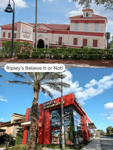 Things To Do In Orlando – Explore Ripley’s Believe It or Not! Museum and Mirror Maze, filled with oddities and interactive exhibits.
