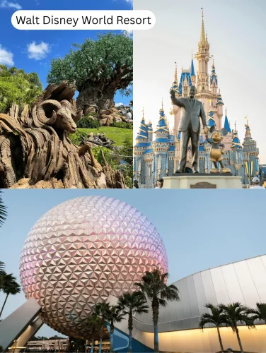 Things To Do In Orlando – Visit Walt Disney World Resort, home to Magic Kingdom, Epcot, and Animal Kingdom, making it one of the top Orlando tourist attractions.